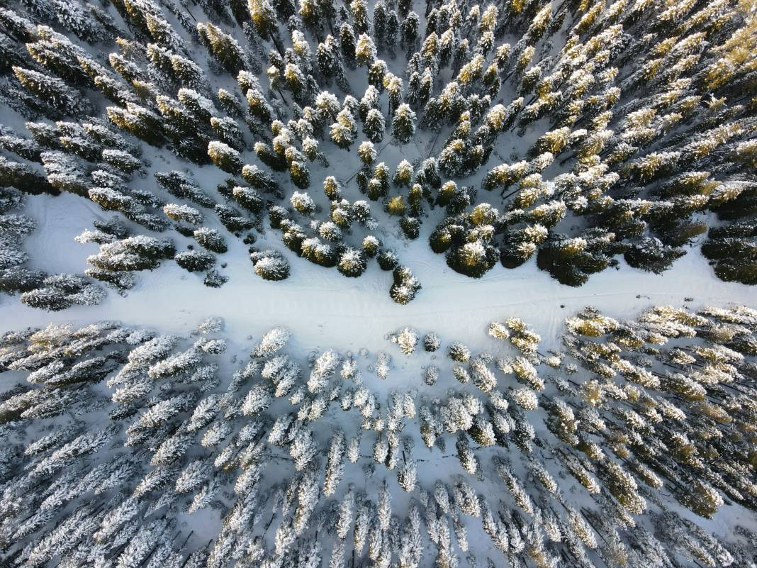 Ilgaz Dağı'nda kartpostallık görüntüler - Resim: 27